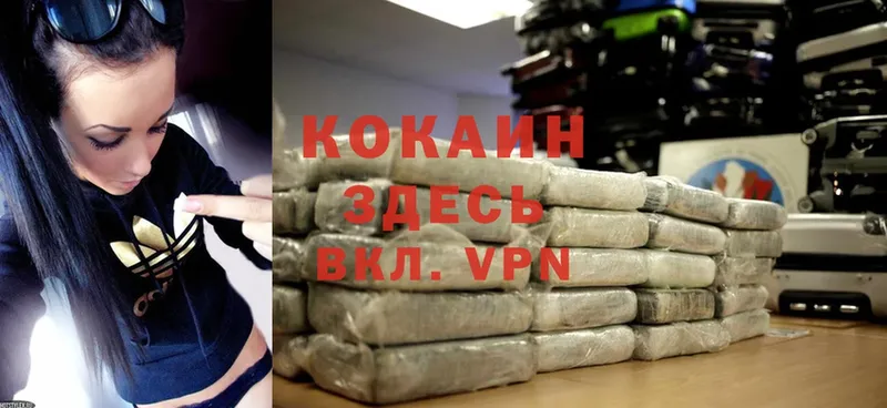 Cocaine 99%  как найти закладки  Ворсма 